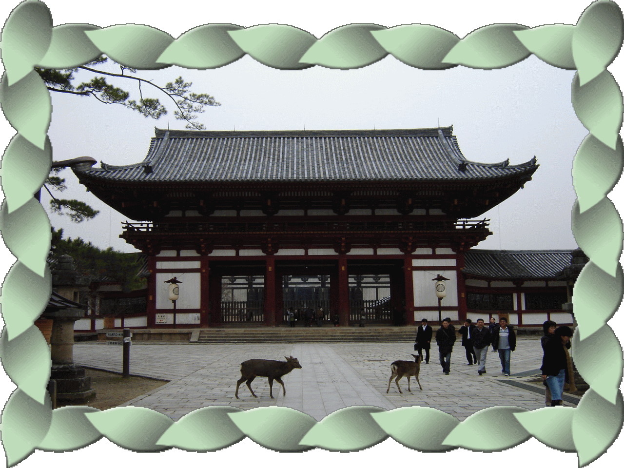 �t���[��