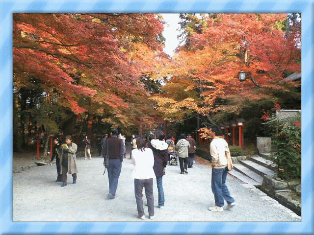 �t���[��