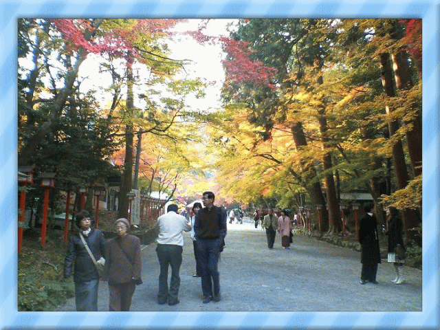 �t���[��