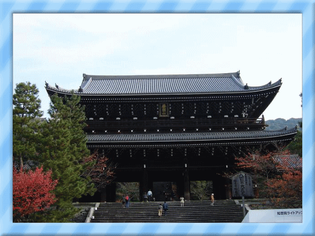 �t���[��